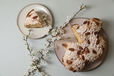 Plates with cut delicious Italian Easter dove cake (traditional Colomba di Pasqua) and flowering branches on light grey table, flat lay