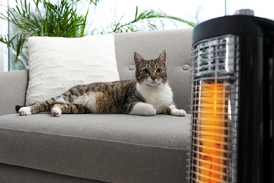 Photo of Cute cat on sofa near modern electric halogen heater indoors