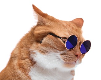 Cute ginger cat in stylish sunglasses on white background, closeup