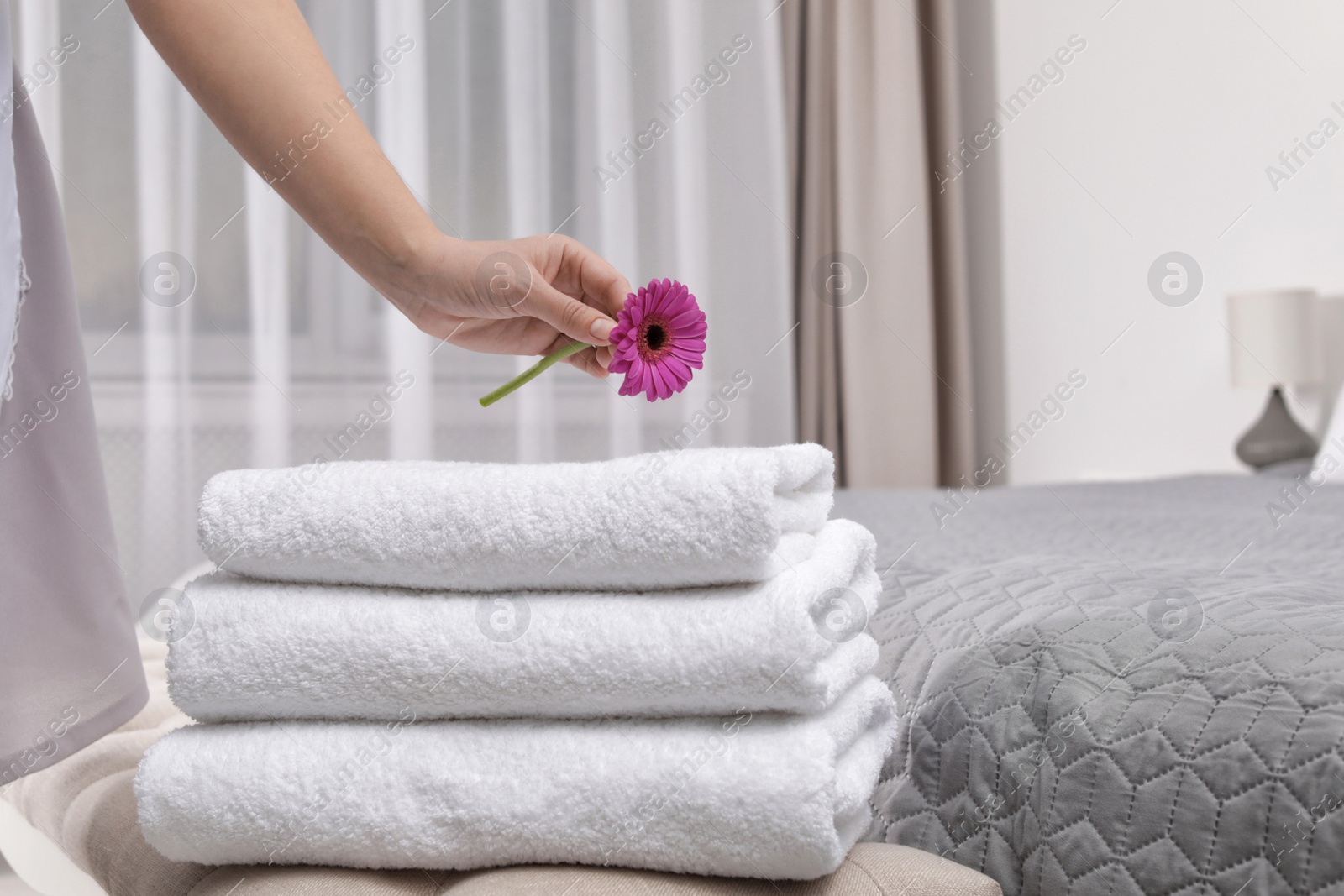 Photo of Maid putting flower on fresh towels in hotel room, closeup