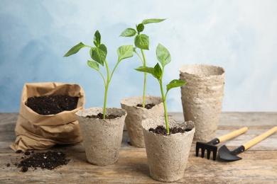 Vegetable seedlings in peat pots on wooden table against light background