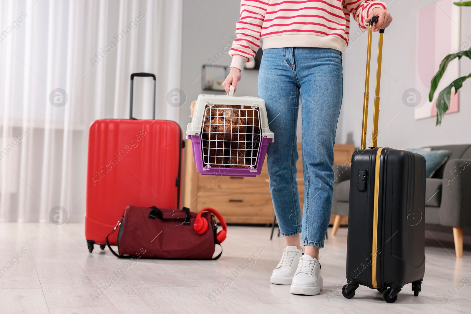 Photo of Travel with pet. Woman holding carrier with dog and suitcase at home, closeup. Space for text