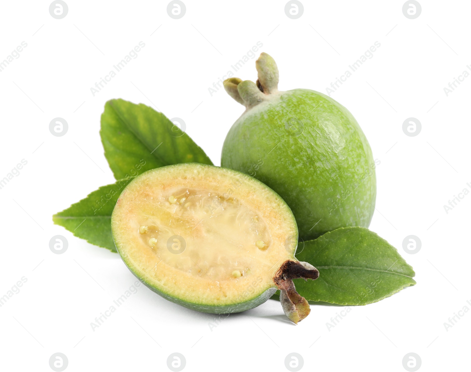 Photo of Whole and cut feijoa fruits on white background