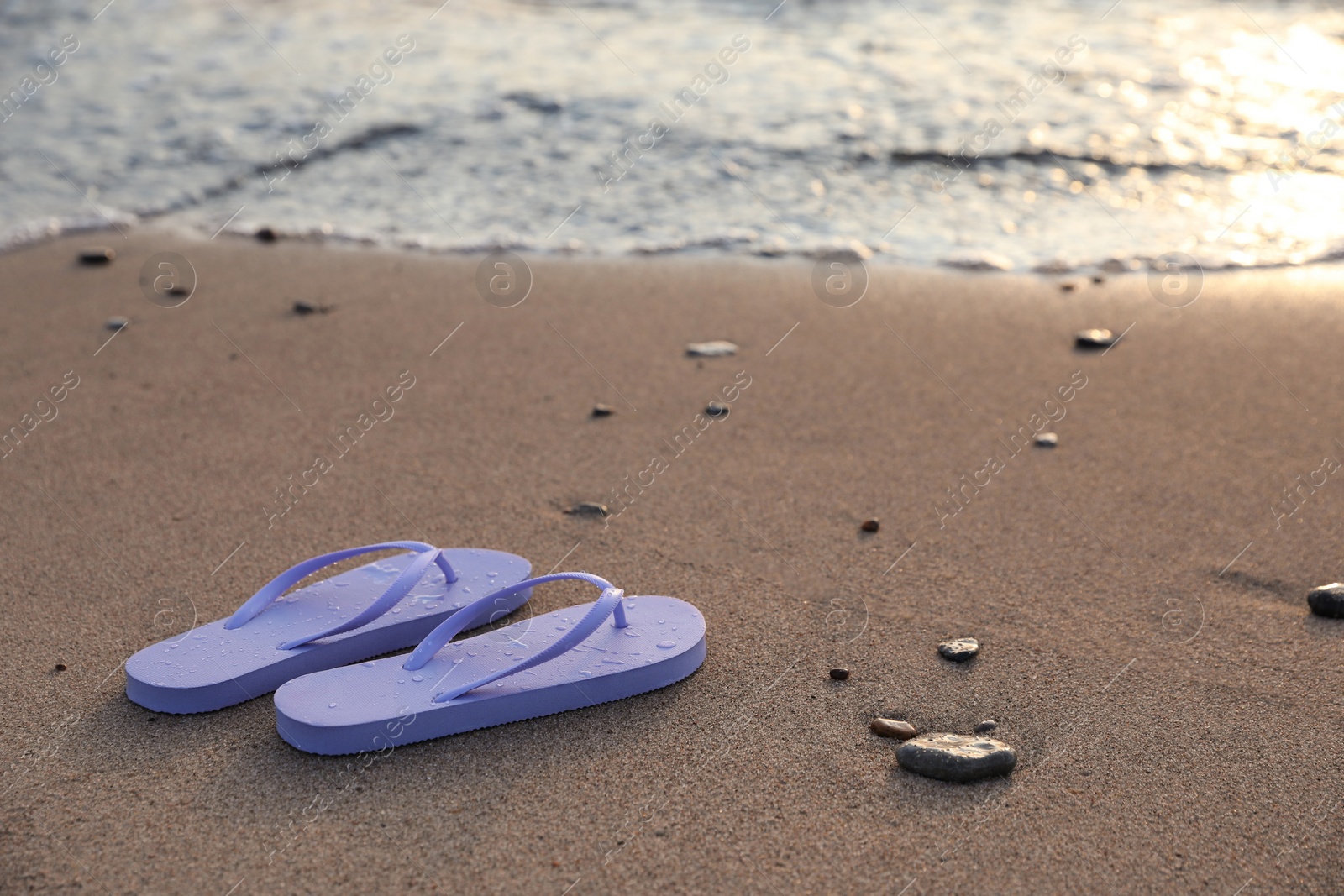 Photo of Stylish lilac flip flops on sand near sea. Space for text