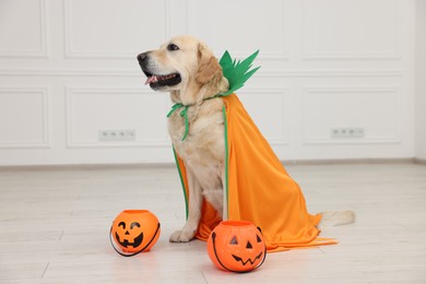 Cute Labrador Retriever dog in costume with Halloween buckets indoors