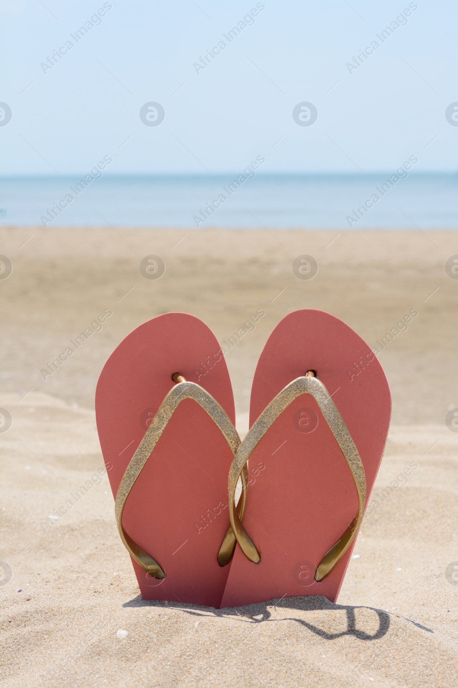 Photo of Stylish pink flip flops in sand near sea on sunny day