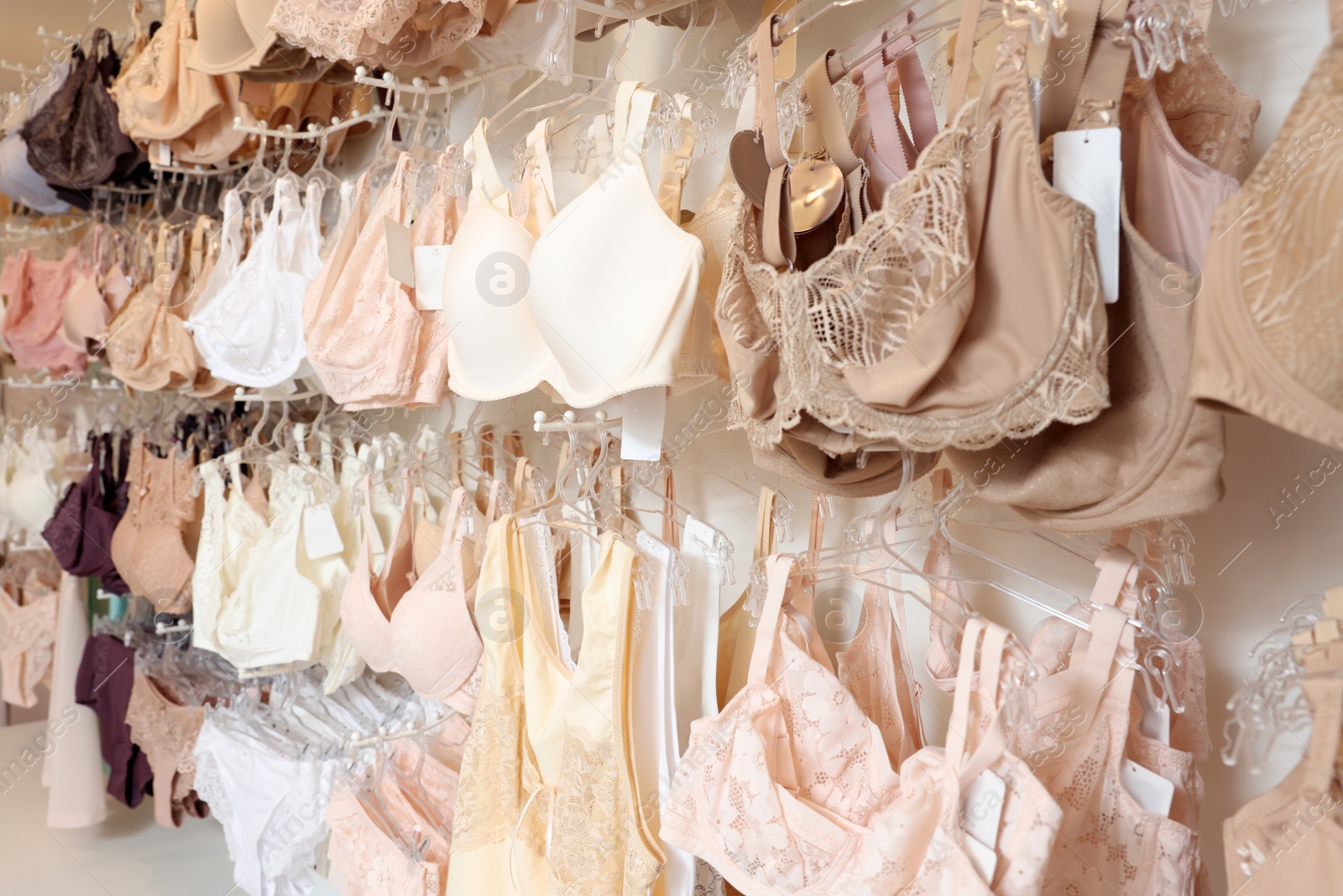 Photo of Many different beautiful women's underwear in lingerie store