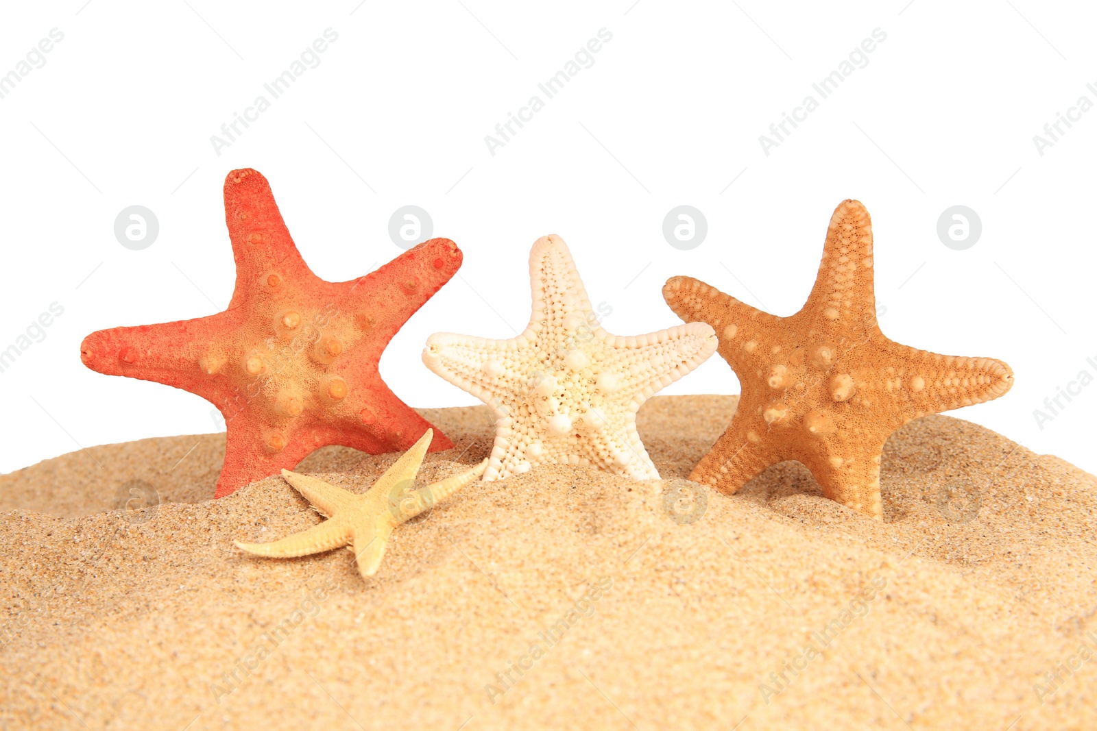 Photo of Sand with many beautiful sea stars isolated on white