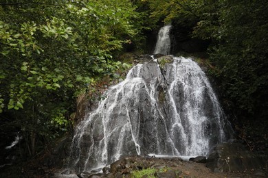 Photo of Picturesque view of small waterfall in forest