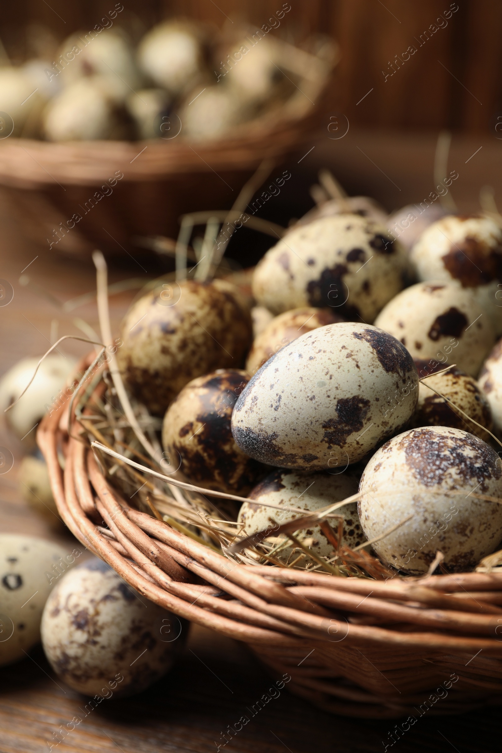 Photo of Wicker bowl with quail eggs and straw on table, closeup