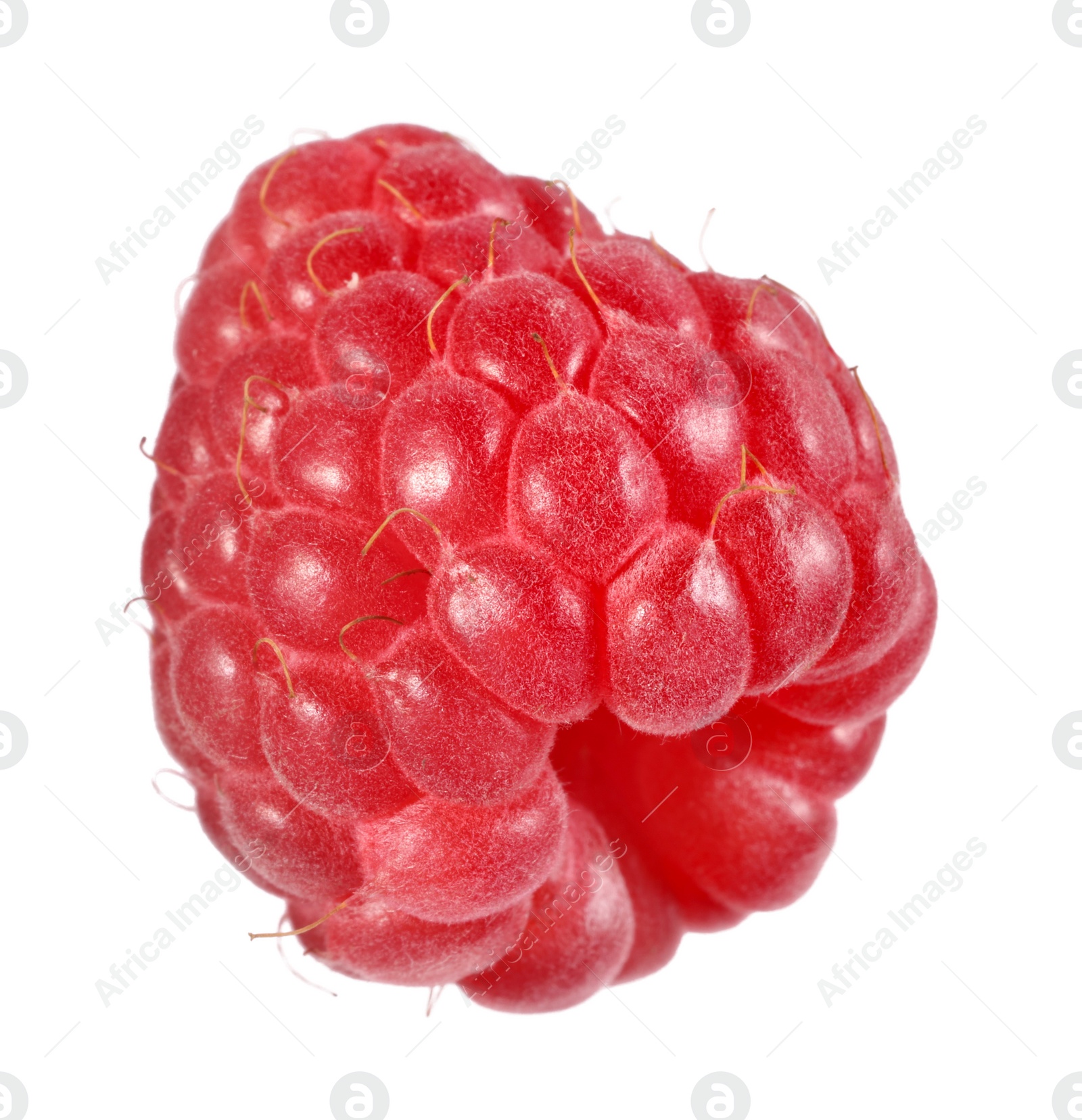 Photo of One tasty ripe raspberry isolated on white