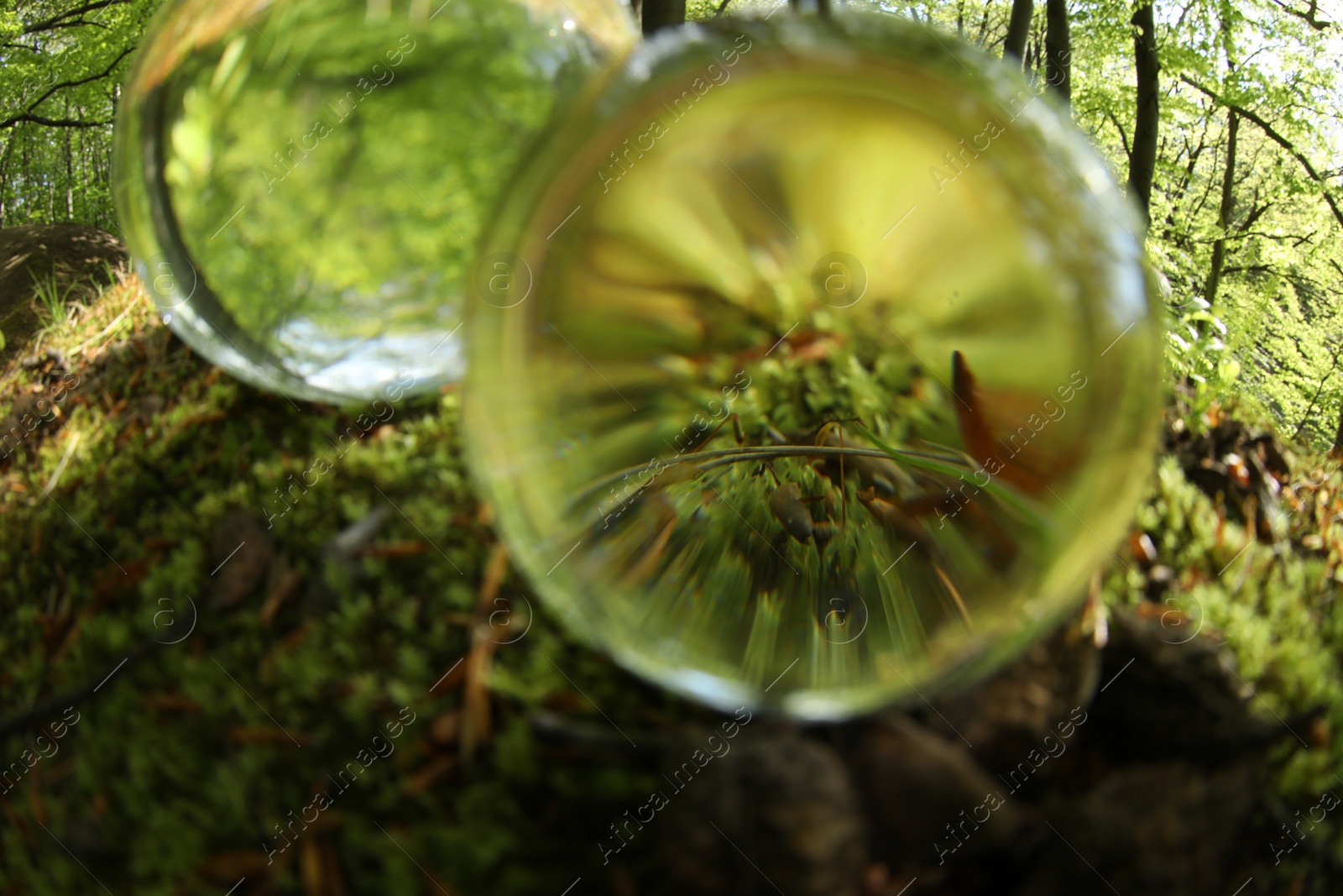 Photo of Green grass outdoors, overturned reflection. Crystal balls in forest