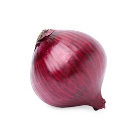 One fresh red onion on white background