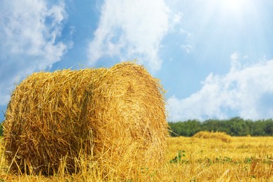 Image of Hay bale in golden field under blue sky on sunny day. Space for text