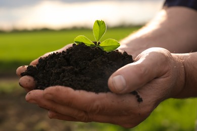 Photo of Man holding pile of soil with seedling outdoors, closeup