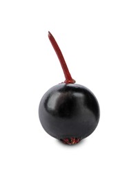 Photo of Delicious ripe black elderberry isolated on white