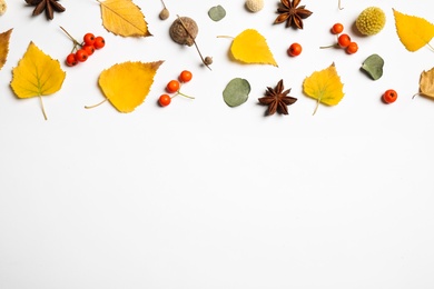 Flat lay composition with autumn leaves and space for text on white background