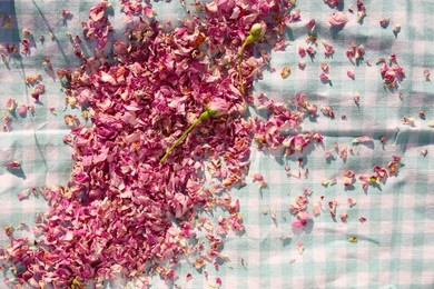 Scattered dried tea rose flowers and petals on checkered fabric, top view