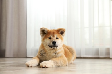 Photo of Cute akita inu puppy on floor at home