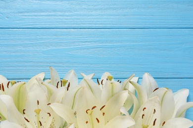 Photo of Beautiful lilies on blue wooden table, flat lay. Space for text