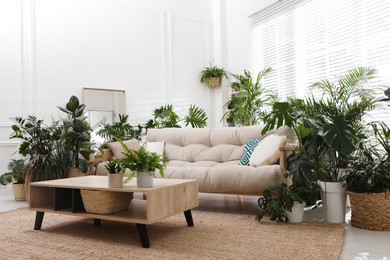 Photo of Stylish room interior with comfortable sofa and beautiful potted plants. Lounge zone