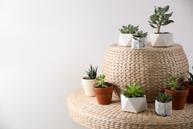 Beautiful succulents on wicker stand, space for text. Interior decoration