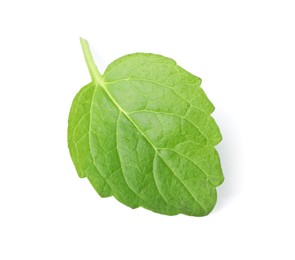 Photo of Fresh lemon balm leaf isolated on white, top view