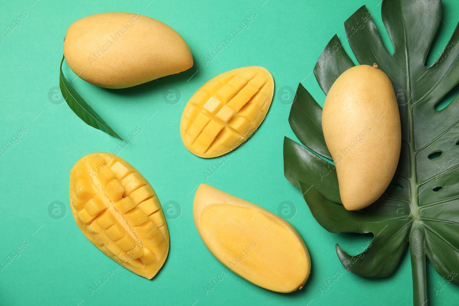 Photo of Flat lay composition with mango fruits on color background