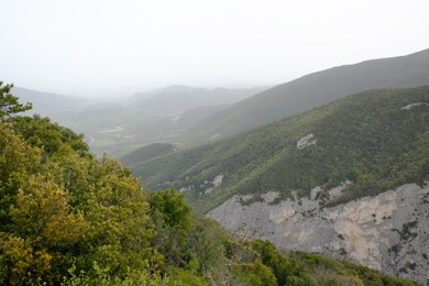 Picturesque view of green forest in mountains