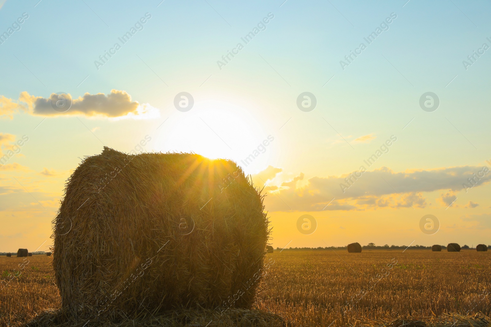 Photo of Beautiful view of agricultural field with hay bale