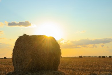 Photo of Beautiful view of agricultural field with hay bale