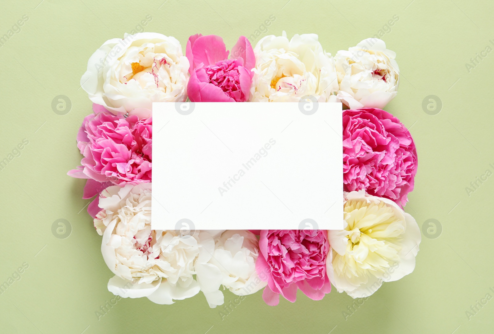 Photo of Fresh peonies and empty card on color background, flat lay with space for text