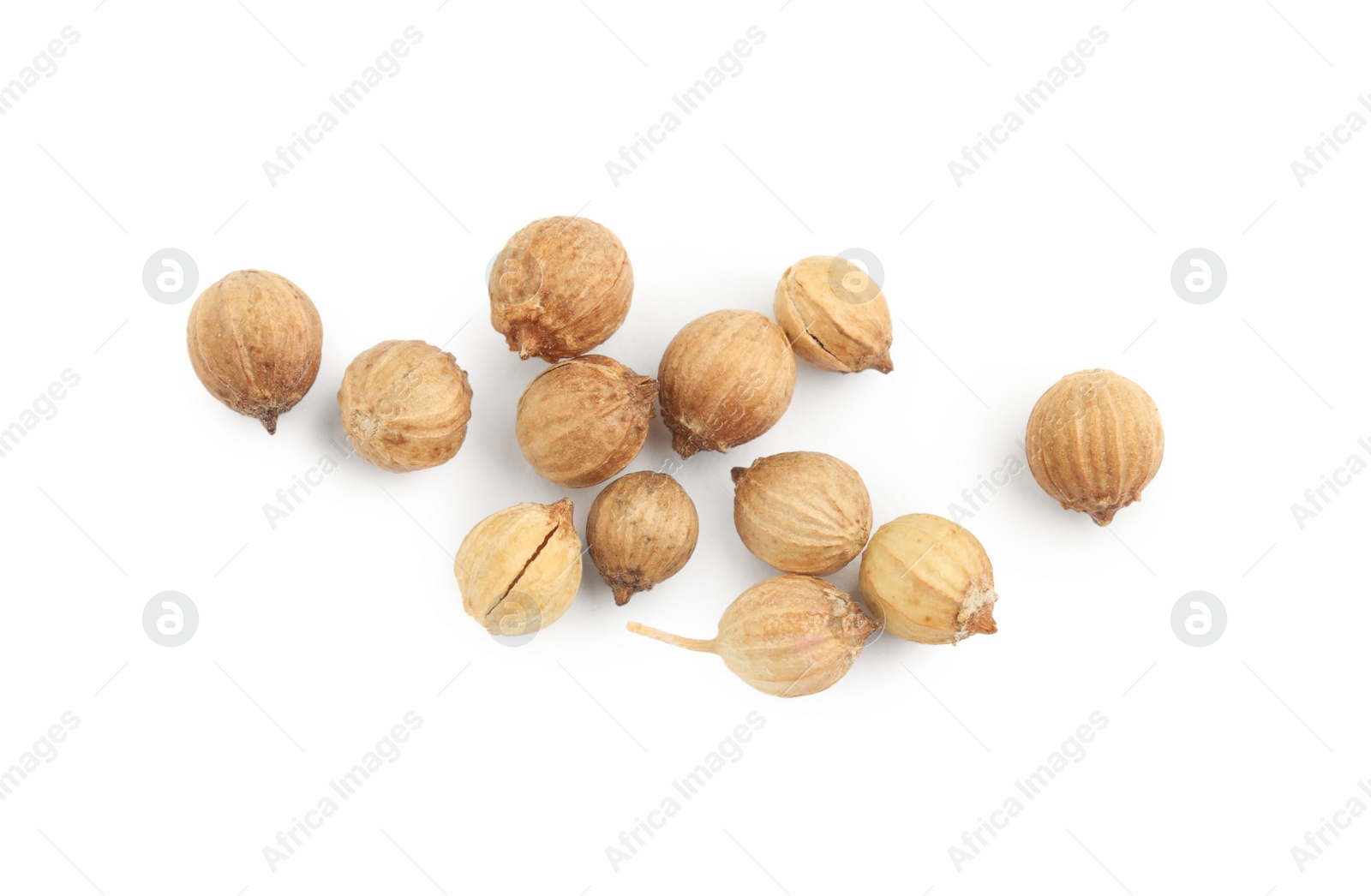 Photo of Scattered dried coriander seeds on white background, top view