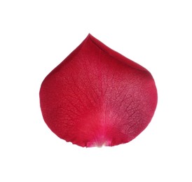 Photo of Red rose flower petal on white background