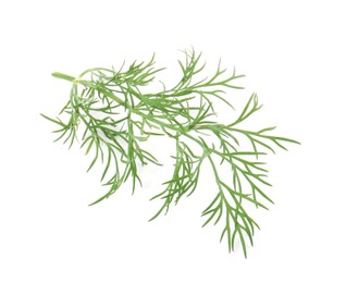 Photo of One sprig of fresh dill isolated on white