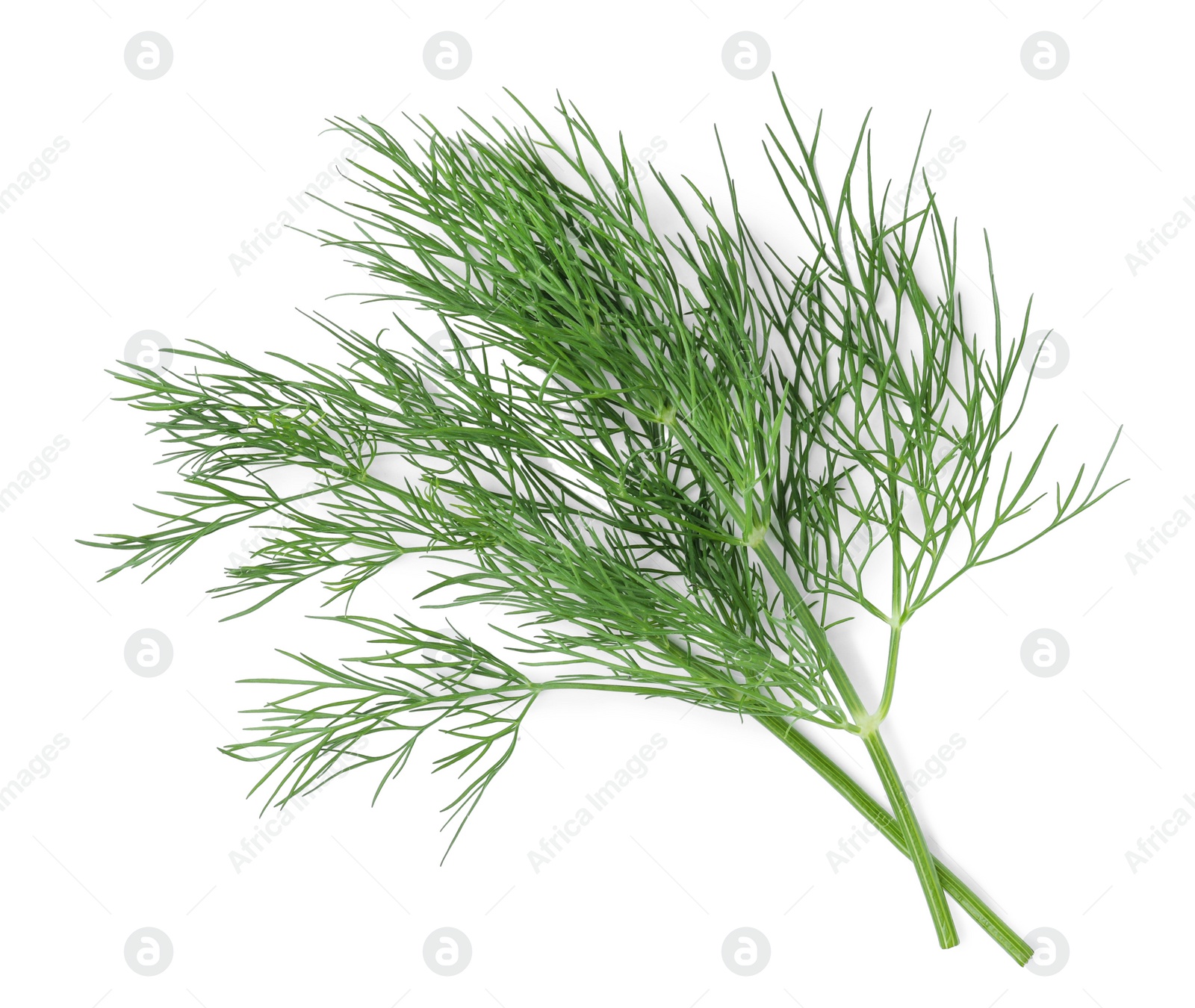 Photo of Sprigs of fresh dill isolated on white, top view