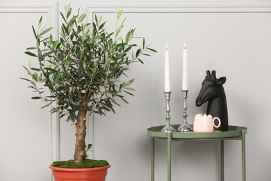 Photo of Table with fancy decor elements, marshmallow cocoa and beautiful young potted olive tree near grey wall indoors