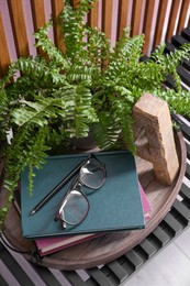 Photo of Stylish tray with books, glasses and houseplant on wooden shelf indoors