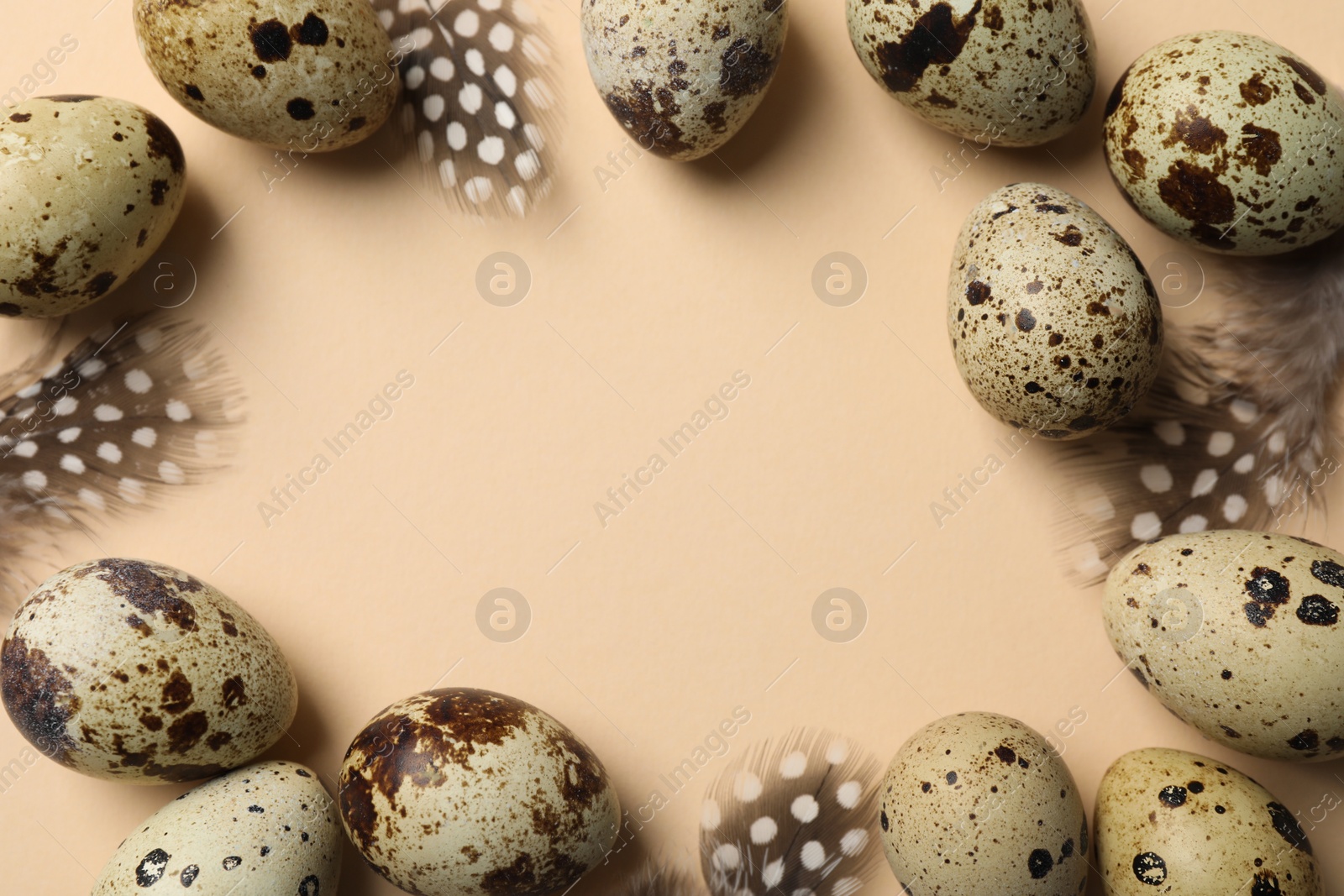 Photo of Frame made of speckled quail eggs and bird feathers on beige background, flat lay. Space for text