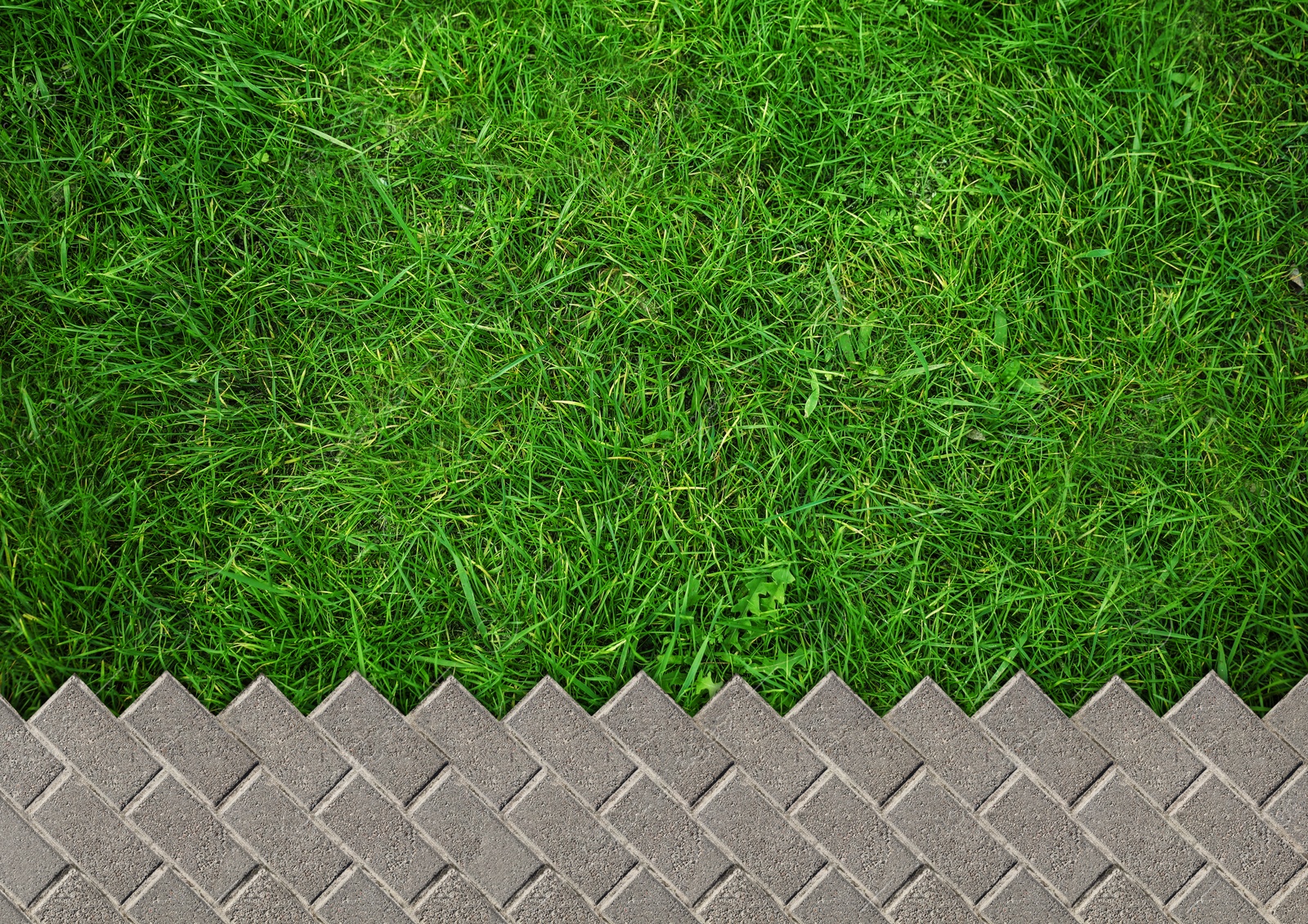 Image of Fresh green grass and grey tiles outdoors, top view