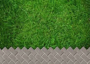 Fresh green grass and grey tiles outdoors, top view