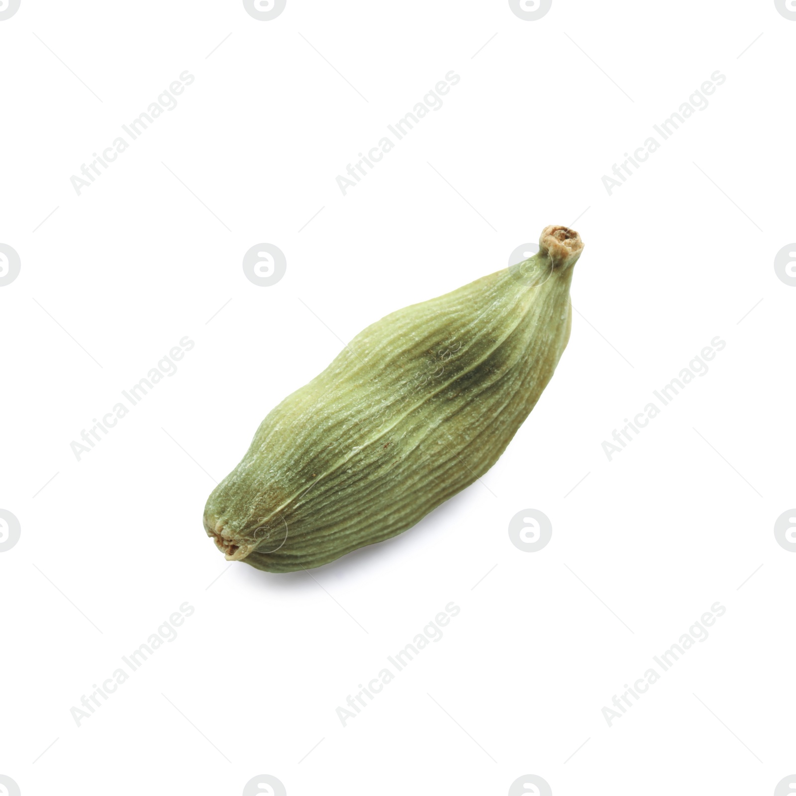 Photo of Dry green cardamom pod isolated on white