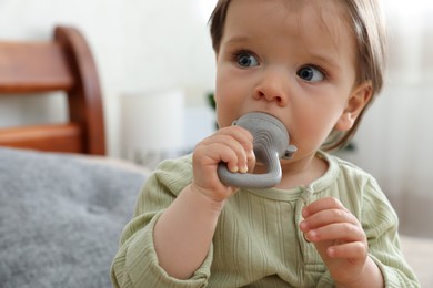 Photo of Cute baby girl with nibbler at home