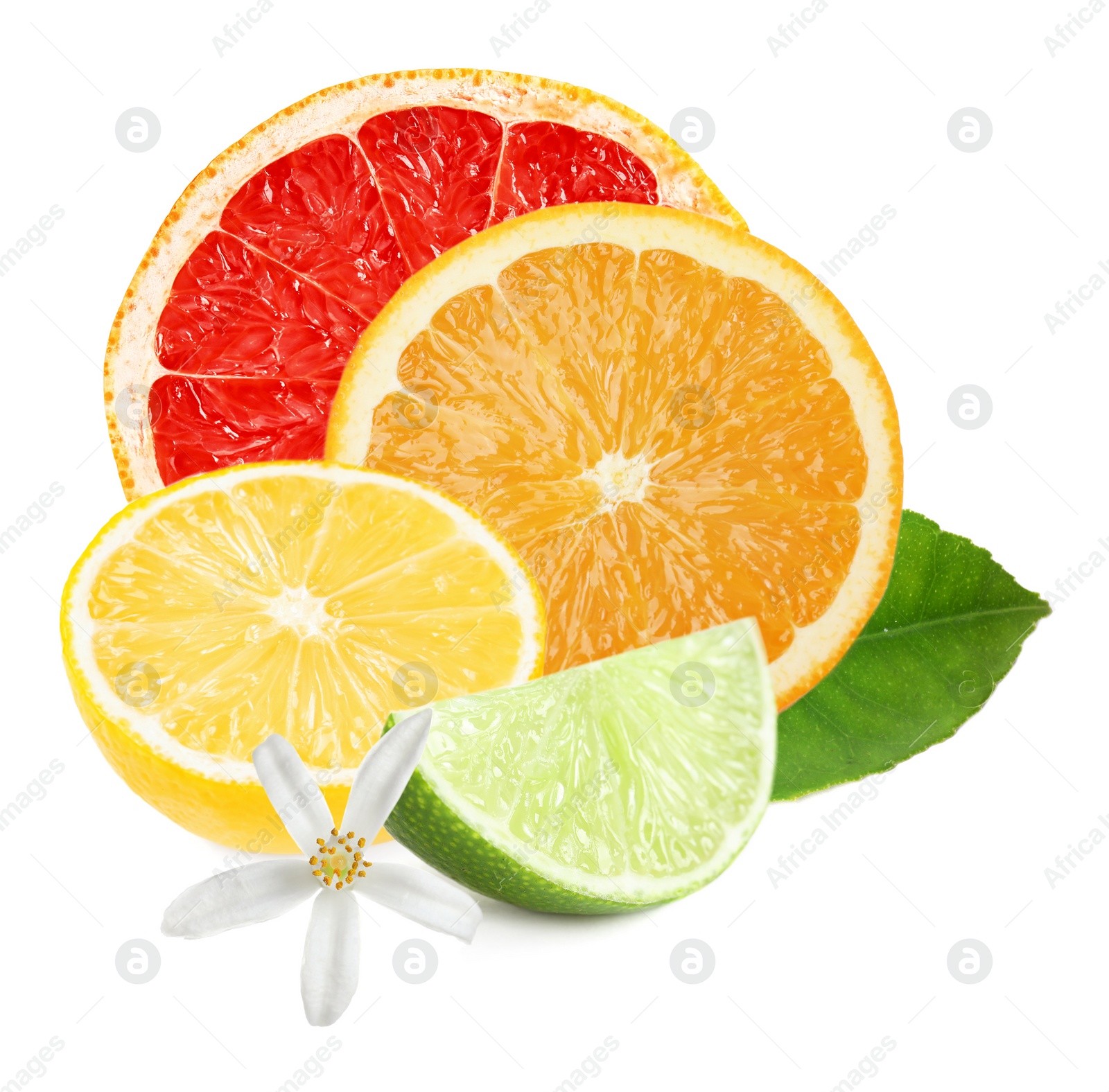 Image of Different citrus fruits with leaves on white background 