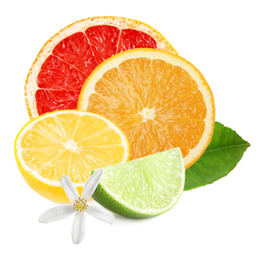 Image of Different citrus fruits with leaves on white background 