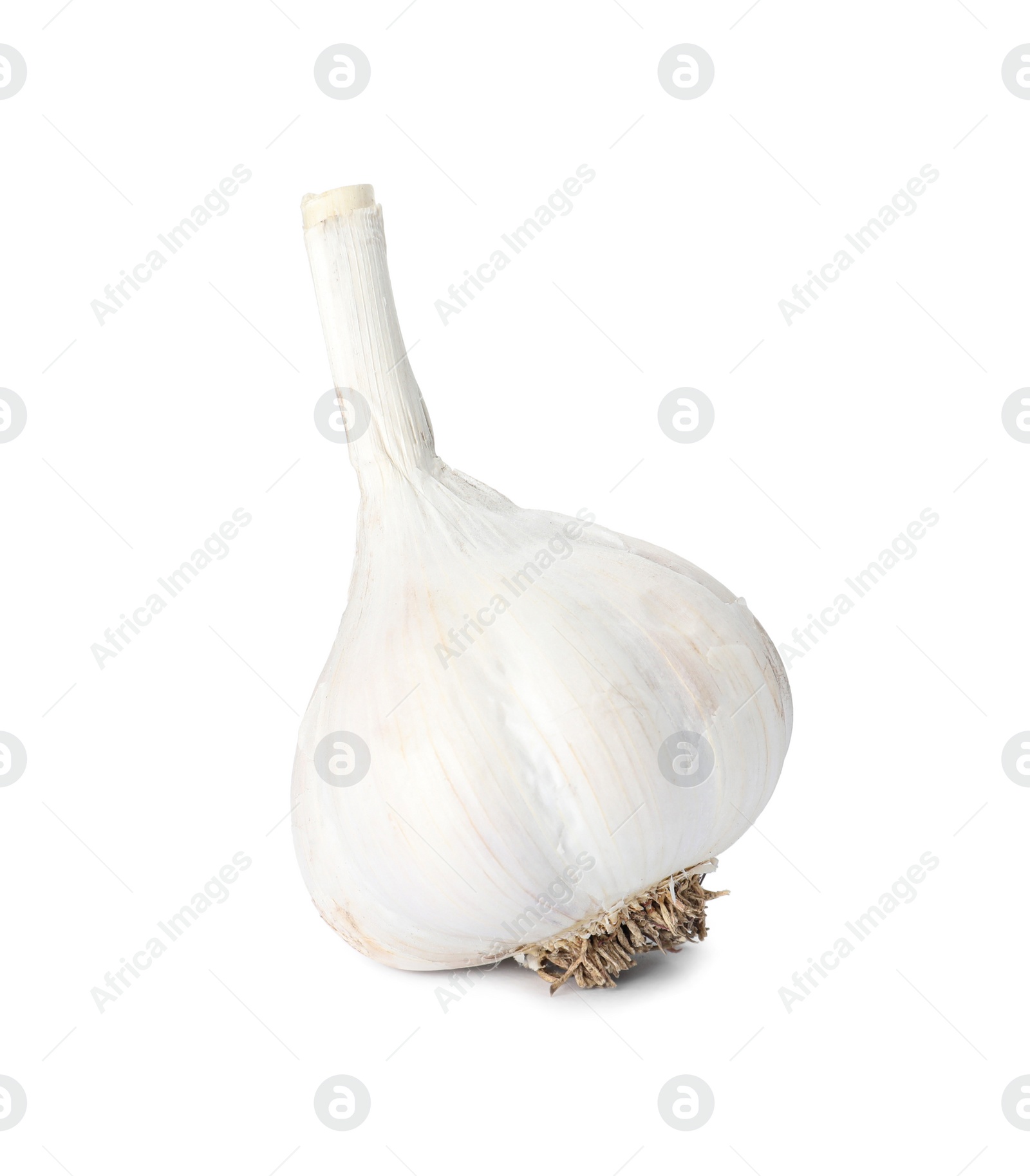 Photo of Fresh organic garlic bulb on white background