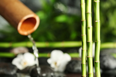 Photo of Bamboo branches against blurred fountain and spa stones. Space for text