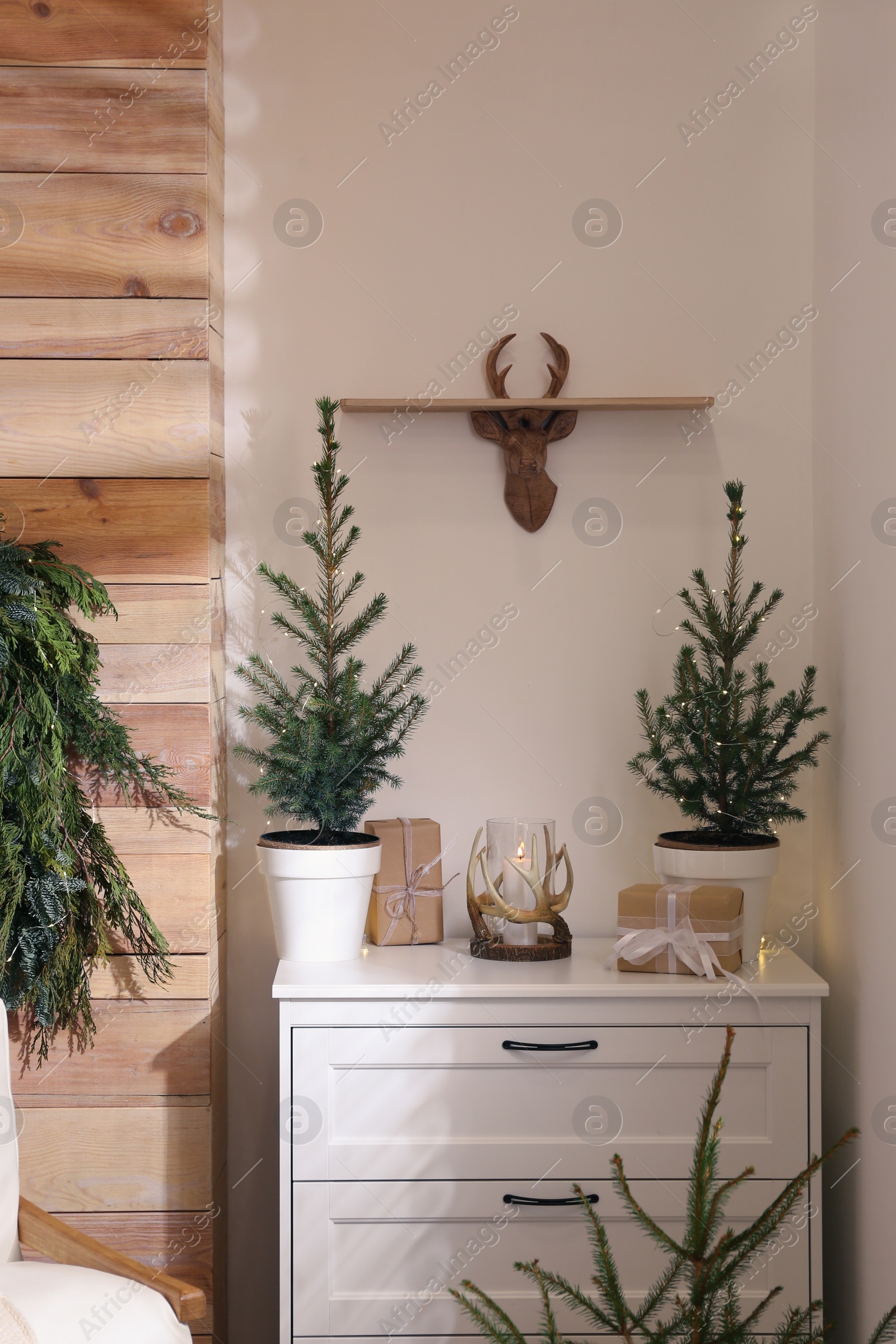 Photo of Beautiful room decorated for Christmas with potted firs. Interior design