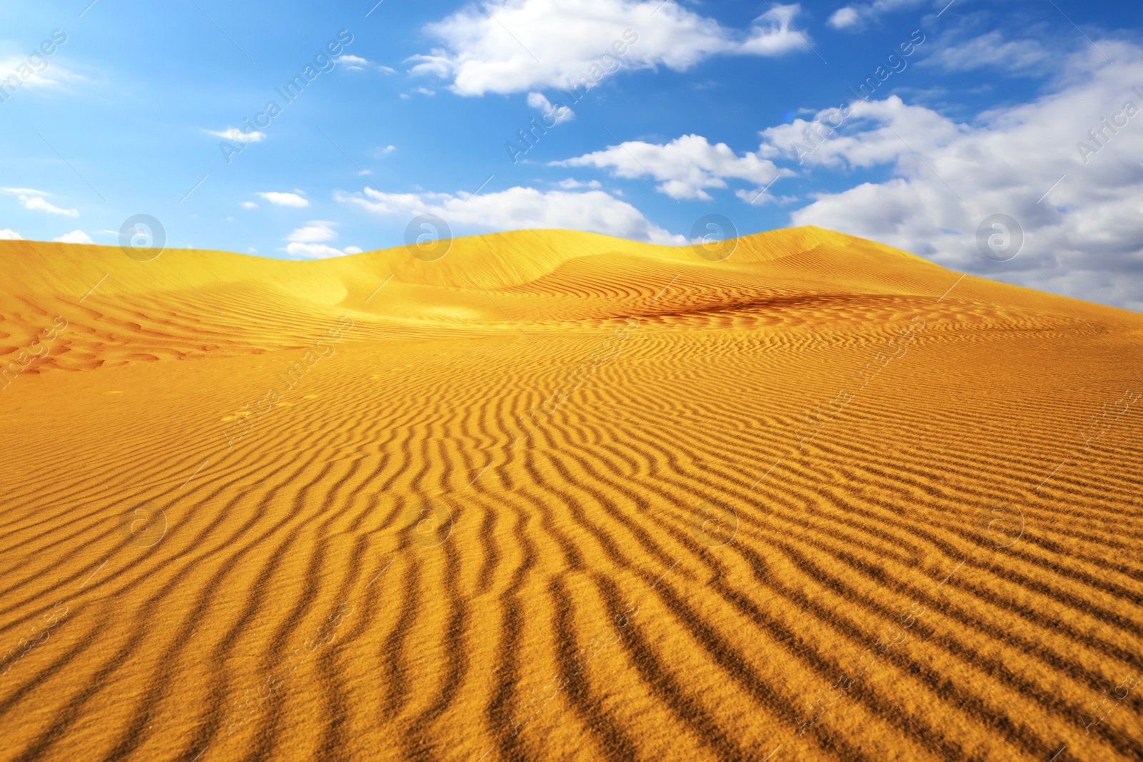 Image of Picturesque view of sandy desert and blue sky on hot sunny day 