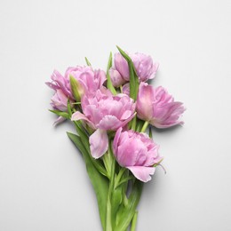 Beautiful colorful tulip flowers on white background, top view. Space for text